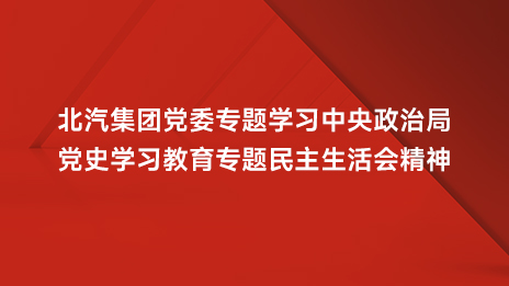 2026世界杯官网入口党委专题学习中央政治局党史学习教育专题民主生活会精神
