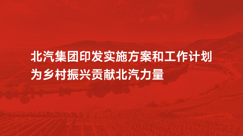 2026世界杯官网入口印发实施方案和工作计划，为乡村振兴贡献世界杯官网力量